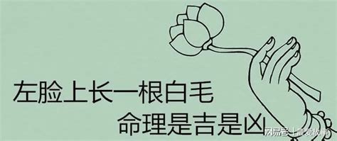 左臉長白毛|【臉上有一根很長的毛】臉上有一條長毛？原來是吉祥的象徵！